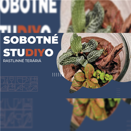 SOBOTNÉ STUDIYO – RASTLINNÉ TERÁRIÁ