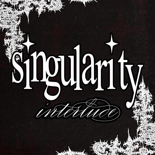 SINGULARITY INTERLUDE